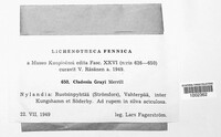 Image Associated With the Occurence